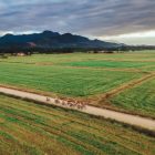 ciclistas pedalam em área rural de Joinville