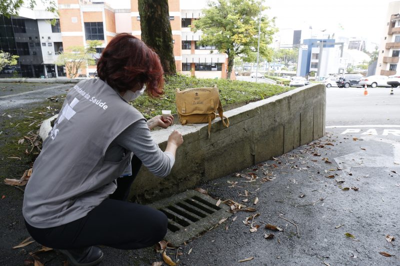 Agente de combate às endemias vistoria locais que podem ser criadouros do mosquito da dengue