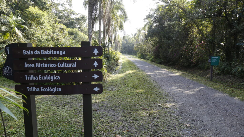 Inscrições para participar do Dia da Árvore no Parque Caieira abrem sexta-feira