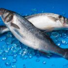 Peixes crus para consumo
