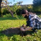 Mulher planta muda de árvore