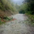 Área em que houve deslizamento de terra e queda de árvore na Estrada Quiriri