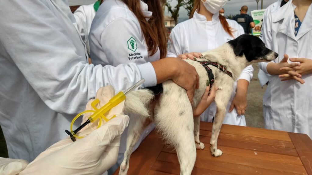 Joinville realiza Mutirão de Microchipagem neste fim de semana
