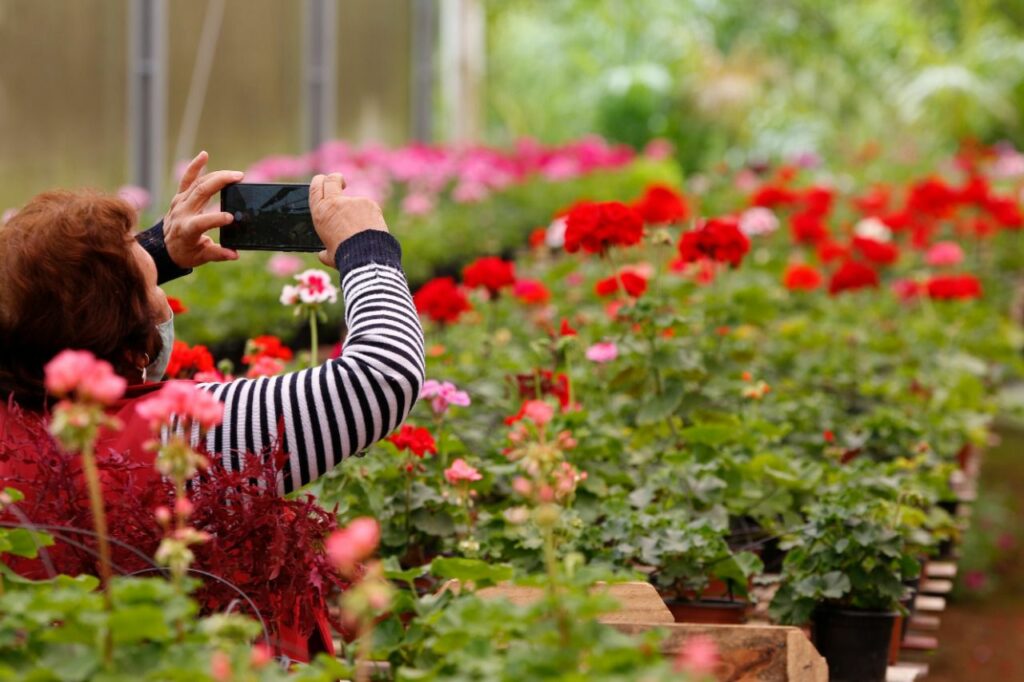 Prefeitura de Joinville lança Rota das Flores como opção de turismo rural