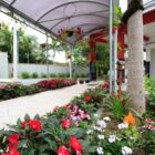 Jardim da escola Municipal Professor Alfonso Fiedler