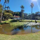 fotografia da lagoa e do gramado do Museu de Arte de Joinville