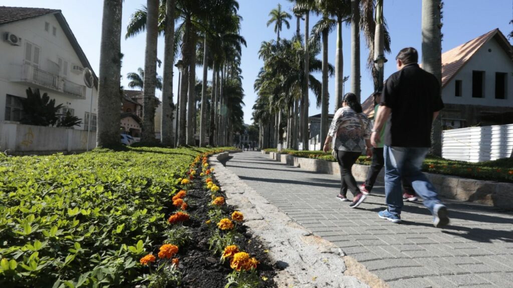 Prefeitura de Joinville registra novo furto de fios elétricos na Rua das Palmeiras