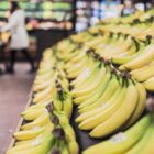 Banana caturra foi o item que teve o maior aumento de preço comparado com o levantamento de dezembro