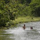 Pessoas dentro de um rio se refrescando, em área rodeada por verde