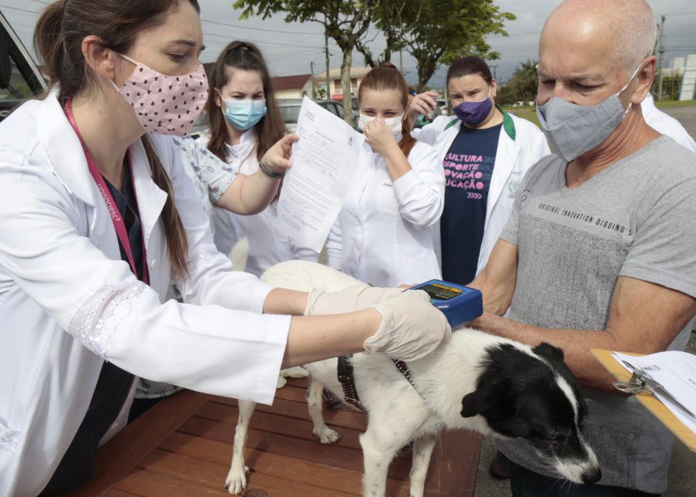 Prefeitura de Joinville promove Mutirão de Microchipagem de cães e gatos no Morro do Amaral