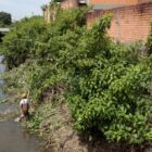 Homens trabalham na limpeza dentro de um rio