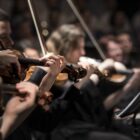 músicos tocam violino