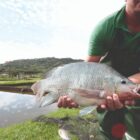 Homem segura uma tilápia perto de uma lagoa