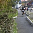 Poda da cerca viva na avenida Beira Rio iniciou