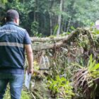 defesa civil de joinville alerta sobre chuva