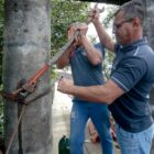 Dois homens realizam manutenção em ponte