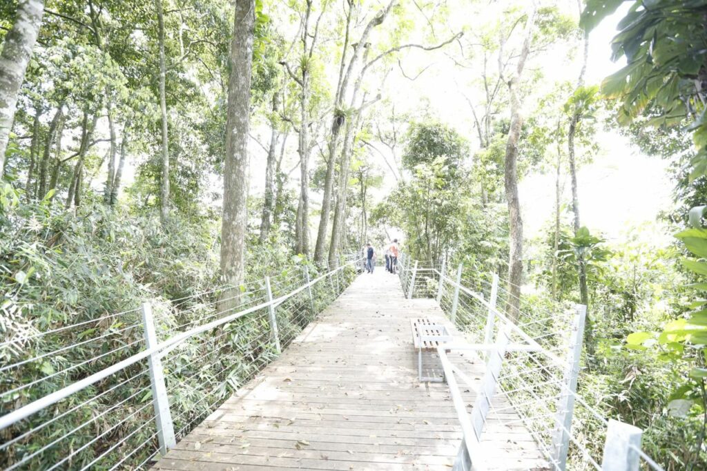 Trilha do Mirante estará fechada para manutenção nesta quarta-feira