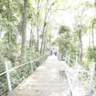 Imagem da trilha do deck do Mirante de Joinville
