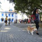 Mulher passeia com cachorro em frente ao Museu Nacional da Imigração