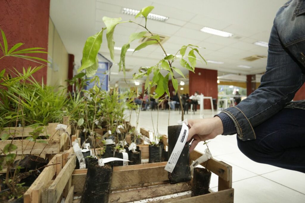 Ações para o desenvolvimento sustentável de Joinville marcaram programação do “Junho Verde”