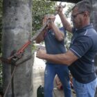 servidores trabalham em reforma da ponte pênsil