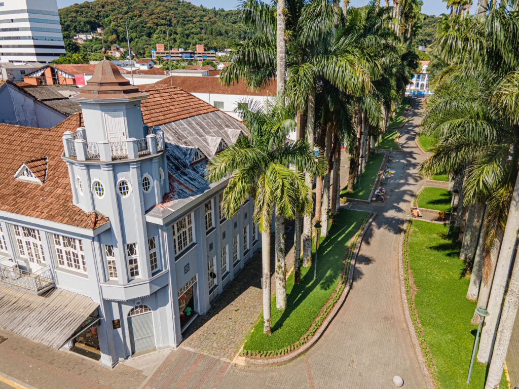 Prefeitura de Joinville faz plantio na Rua das Palmeiras
