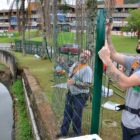 Dois homens trabalham na colocação de cerca as margens do rio