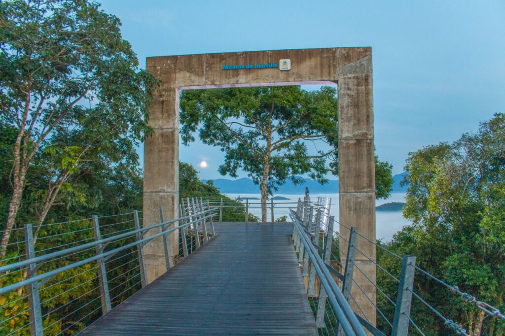 Subida ao Mirante de Joinville é restabelecida após queda de árvore