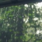 Foto de pingos de chuva em uma área verde