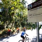 Ciclistas pedalam em estrada com árvores