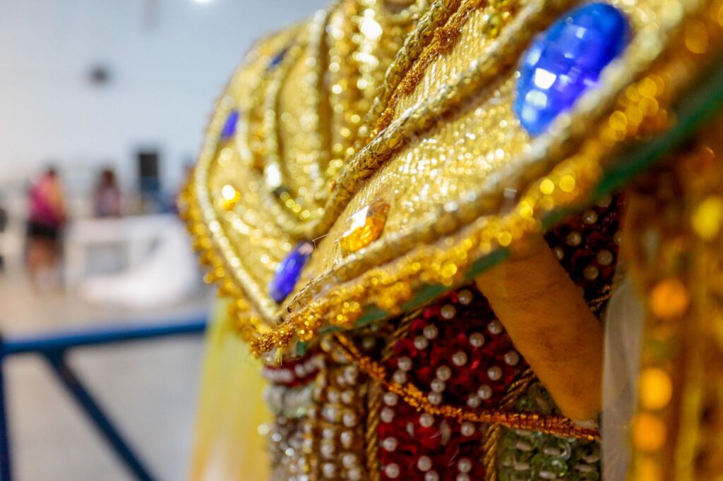 Príncipes do Samba fará homenagem à “dama do Carnaval de Joinville” em desfile