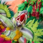 Detalhe de fantasia de carnaval