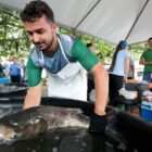 Homem de avental segura peixe vivo em tanque