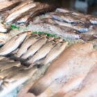 Peixes expostos para venda