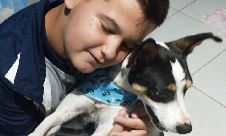 Animais tratados pelo CBEA são adotados e recebem carinho e amor em lares joinvilenses