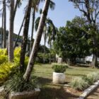 Praça em frente ao cemitério com plantas e árvores