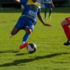 Jogo do copão kurt meinert