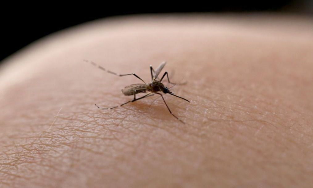 Joinville confirma mais dois óbitos por dengue
