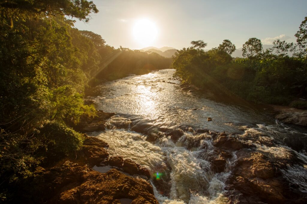 Inscrições abertas para a programação da Semana do Meio Ambiente de Joinville