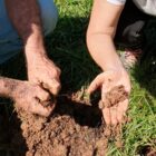 Mãos de duas pessoas mexem na terra