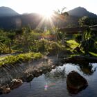 Imagem de uma área verde com lago e árvores
