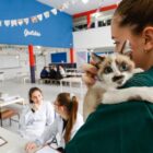Gato é levado no colo para atendimento