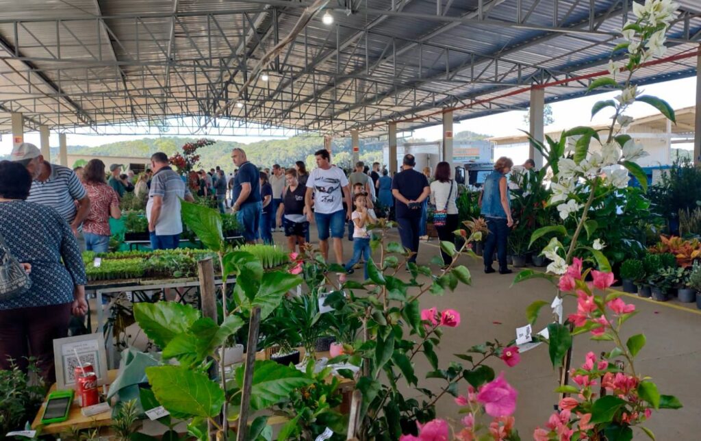 Feira de Mudas Frutíferas e Ornamentais do Ceasa recebe 4 mil pessoas