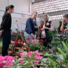 Visitantes em estandes de feira de plantas