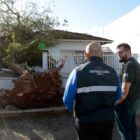 Dois agentes da Defesa Civil observam casa atingida por queda de árvore