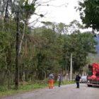 Homens trabalham em local com árvores na rua após vendaval