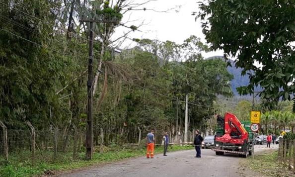 Defesa Civil atende ocorrências por conta de vendavais