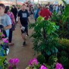 Pessoas passeiam em feira com opões de plantas à venda