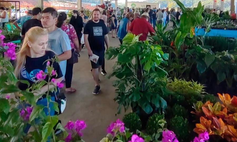 Ceasa de Joinville terá feira Direto do Campo e doação de animais neste sábado