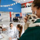 Mulher segura gato no colo a espera da microchipagem
